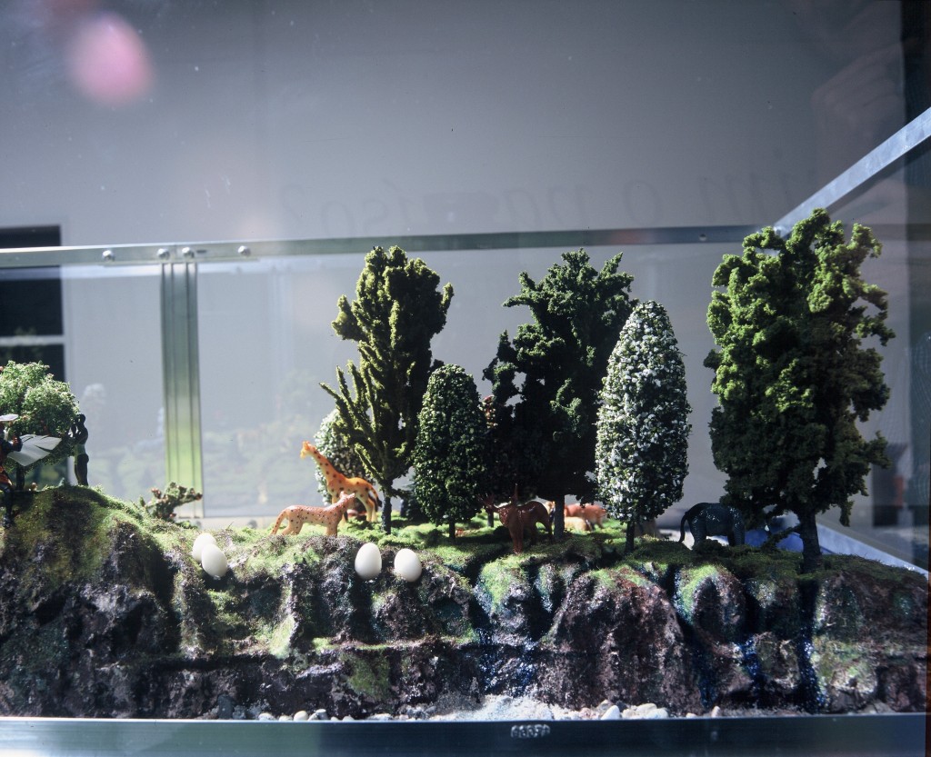 Is This Really Paradise, 2003