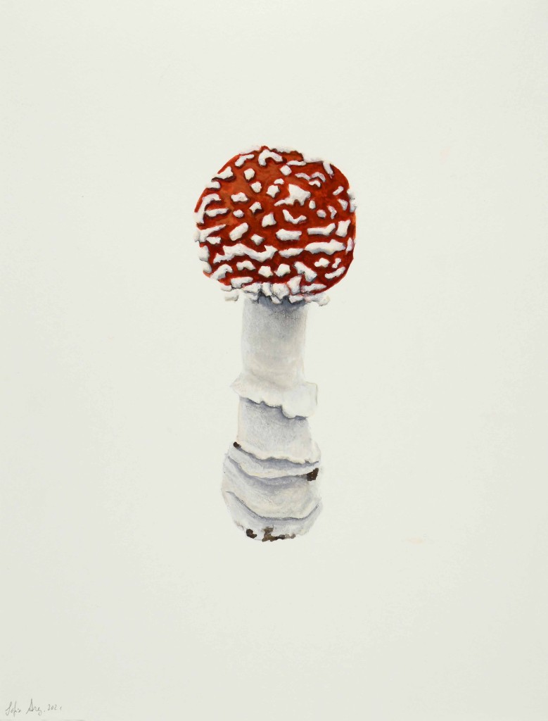 Amanita muscaria #1, 2021