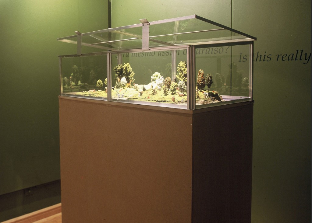 Is This Really Paradise, 2003