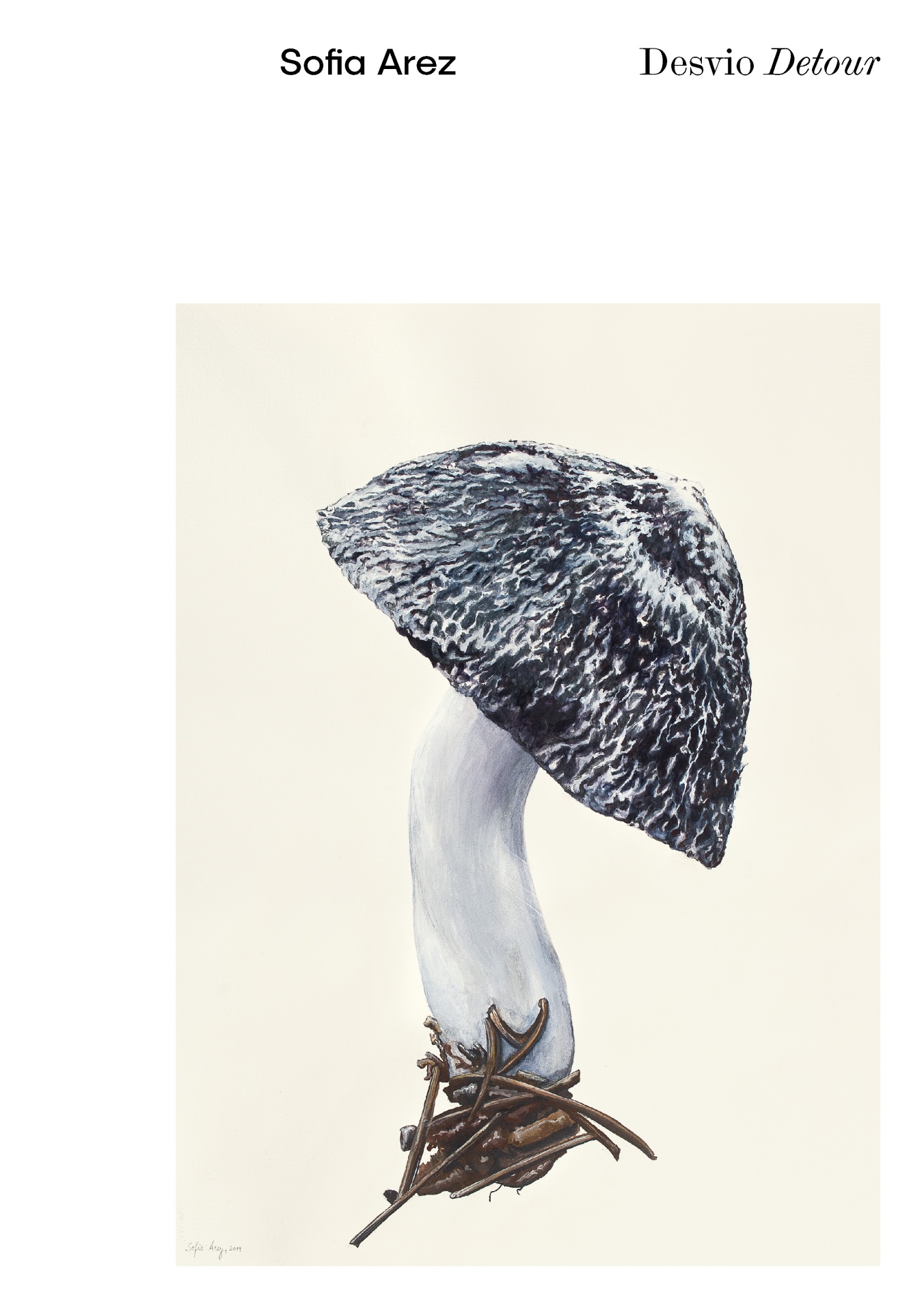 d49b697-185856-desvio_capa