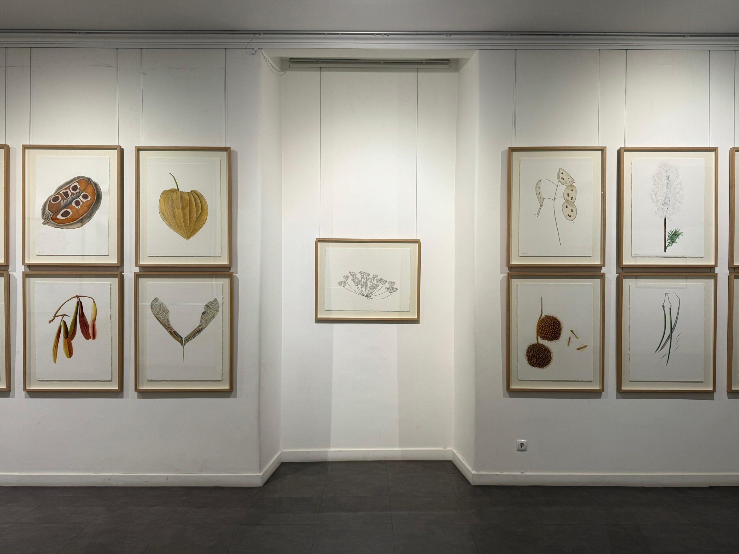 sofia-arez-drif-exhibit-room