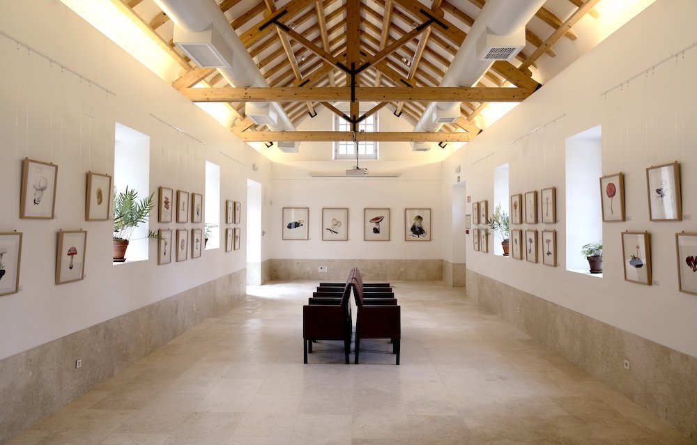 Desvio, Palácio da Pena, 2020