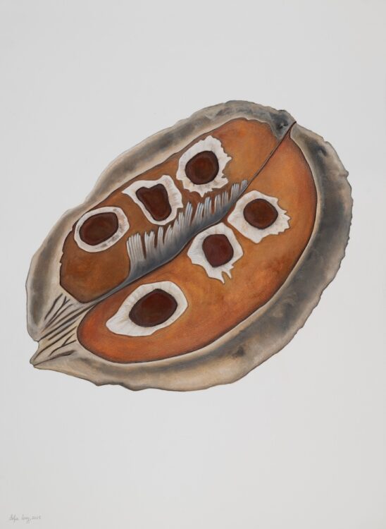 Jacarandá mimosifolia, 77 x 65 cm, watercolour on paper, 2025