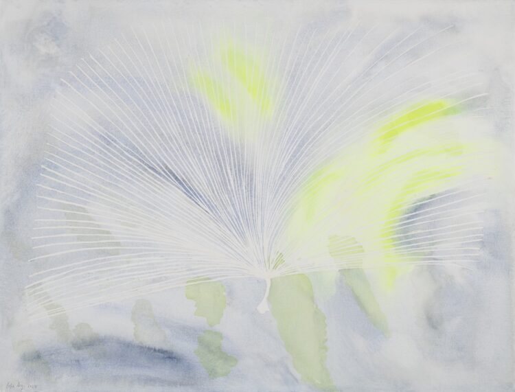 Sonchus maritimus, 56 x 77 cm, watercolour on paper, 2024